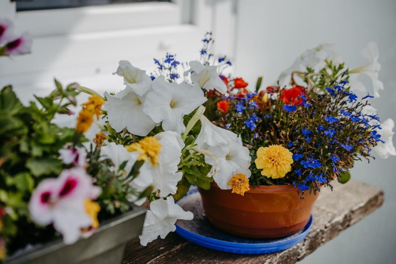 Apartment Familie Cortie Spitzzicken エクステリア 写真